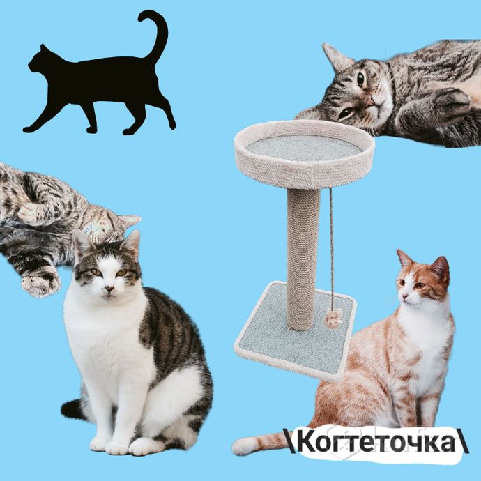фото когтеточка с лежанкой для кошек и котов 1