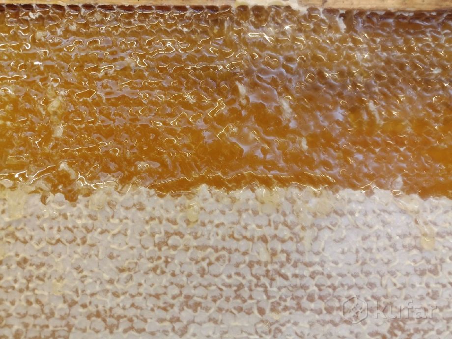 фото мёд натуральный свежий 0