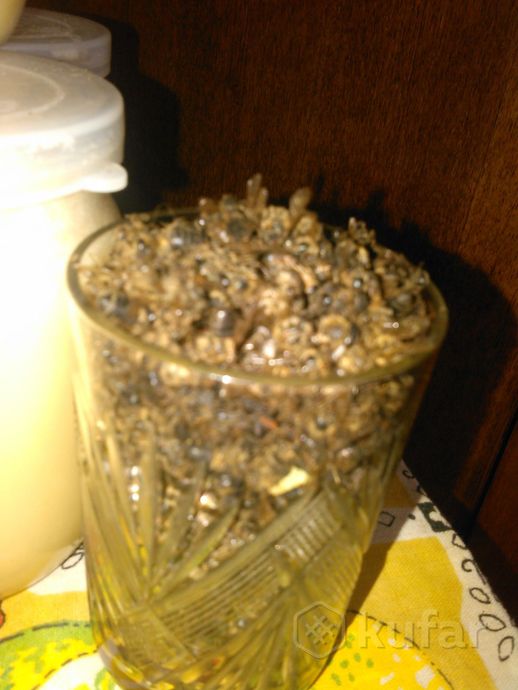 фото мед на васнецова (забрус, перга, подмор) 3