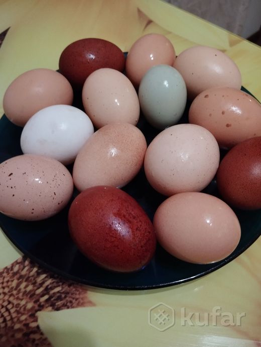 фото куриные яйца 0