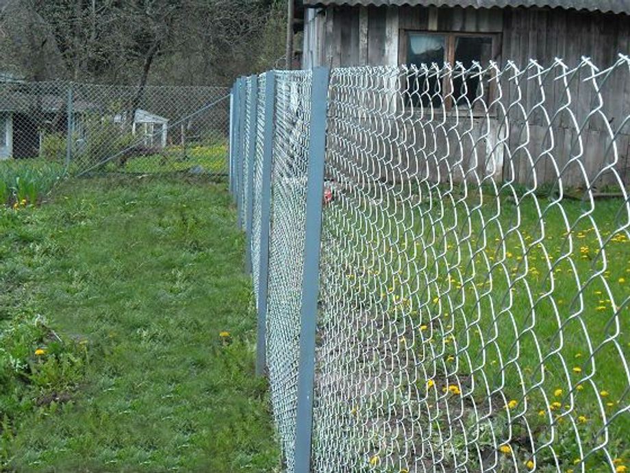 фото забор из сетки-рабица  7
