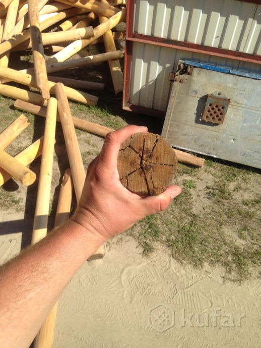 фото дрова берёза в гомеле доставка 3