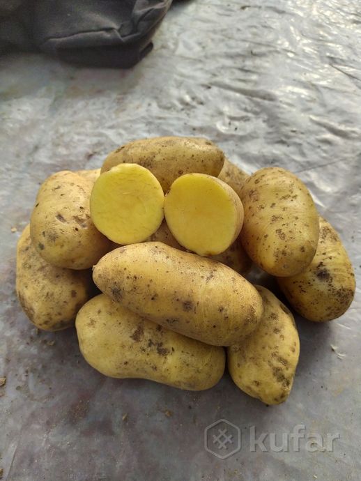 фото картофель(картошка) с доставкой  1