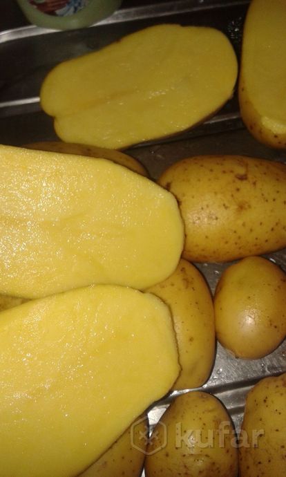фото деревенская картошечка (картофель) сорт ''анна'' 2