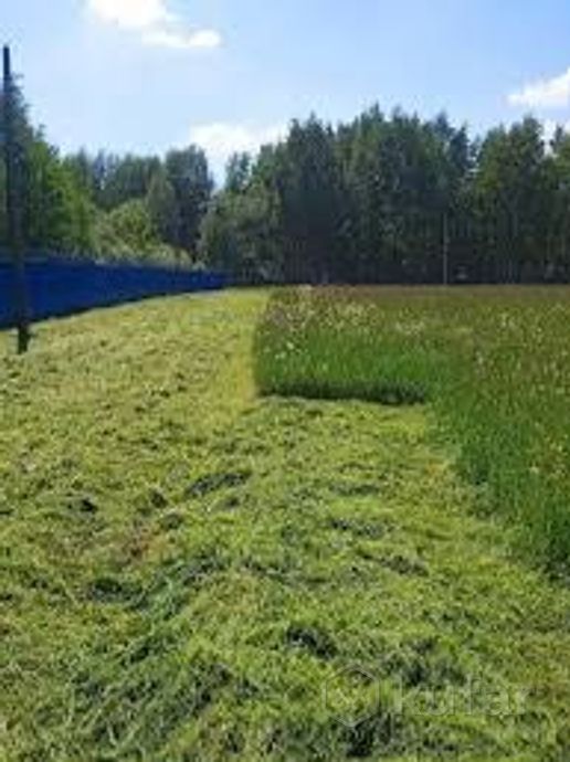 фото покос травы бурьянов мелкого кустарника триммером 1