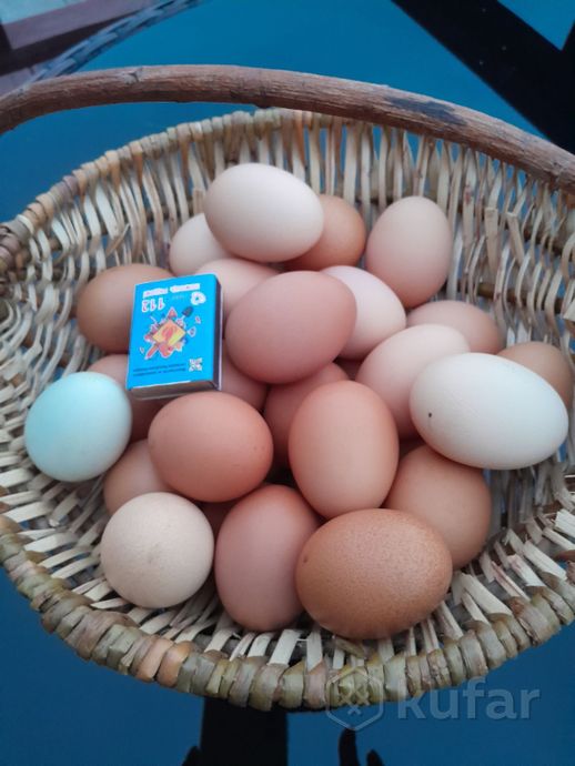 фото яйца куриные домашние 0