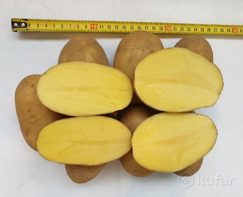 фото деревенская картошечка (картофель) сорт ''анна'' 0
