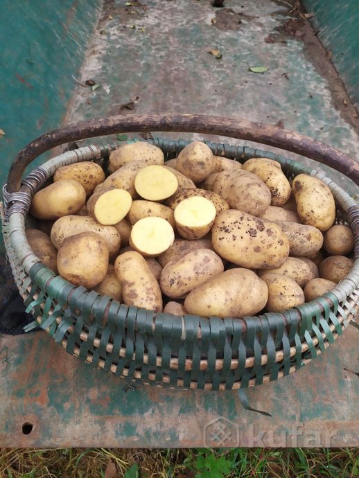 фото картофель (картошка) домашний с доставкой 2
