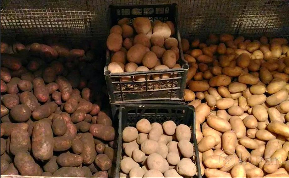 фото домашние овощи картофель с бесплатной доставкой на 0