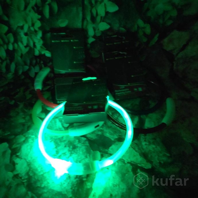 фото светящийся ошейник для собак (3 режима, зарядка usb)  зеленый (green), размер м 6