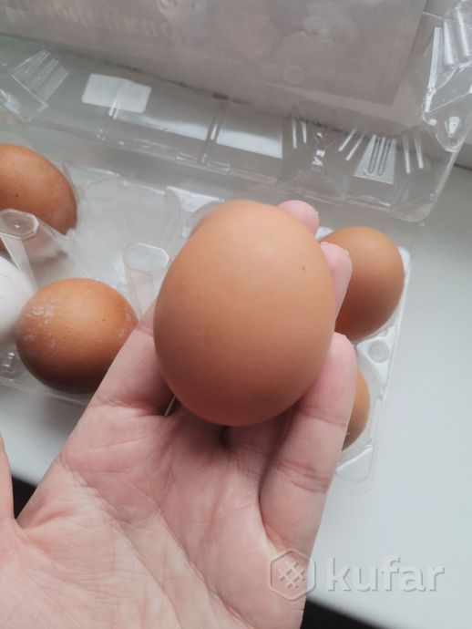 фото яйца куриные  1