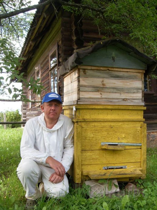 фото мёд лесной, мед с пергой, пасека витебская обл. 1