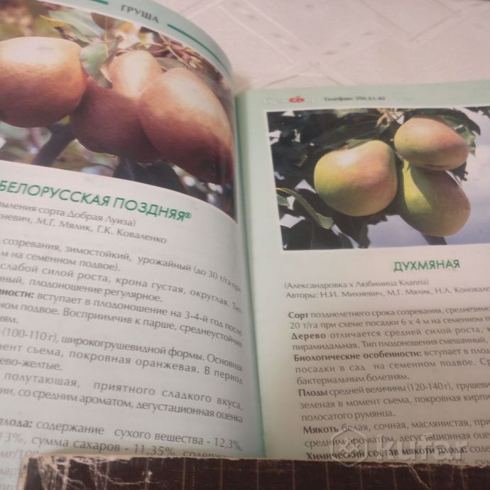 фото каталог плодово ягодных культур беларуси  1