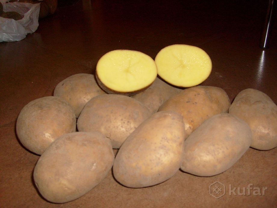 фото картошка (картофель) с доставкой 80296036301 0
