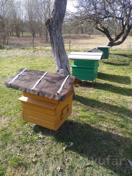 фото пчелосемьи с ульями, ульи 6