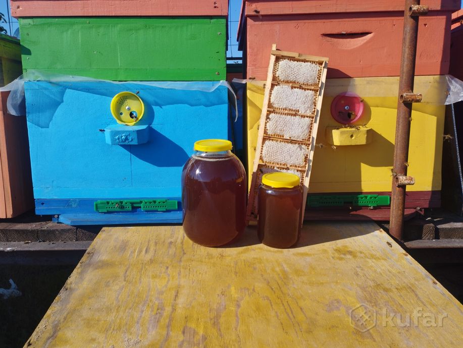 фото мед из личной пасеки. лесной  0