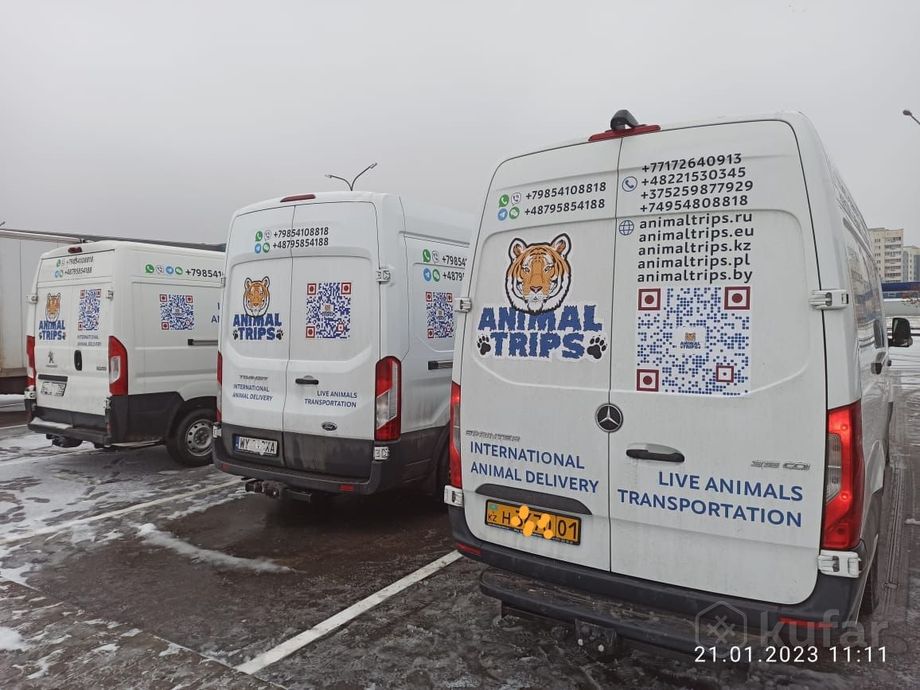 фото доставка животных в европу 5
