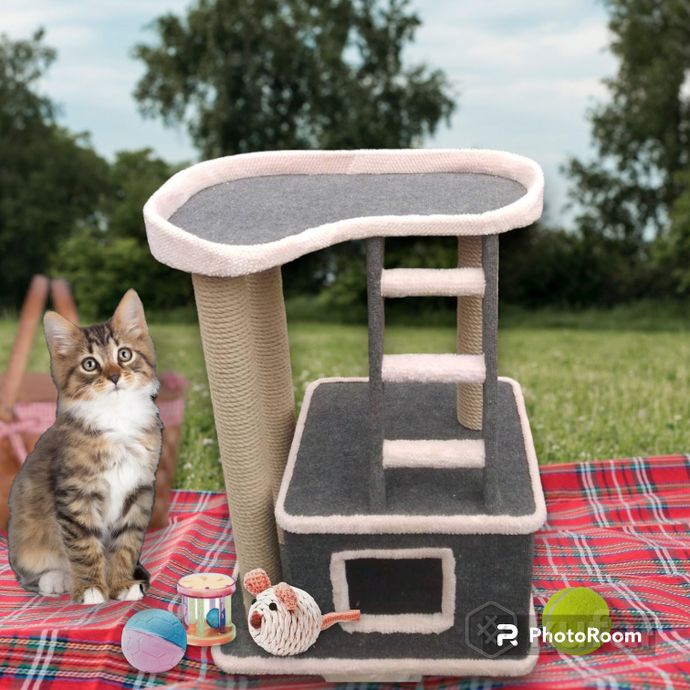 фото дом когтеточка с лежанкой и  лесенкой для кошек и котов  0