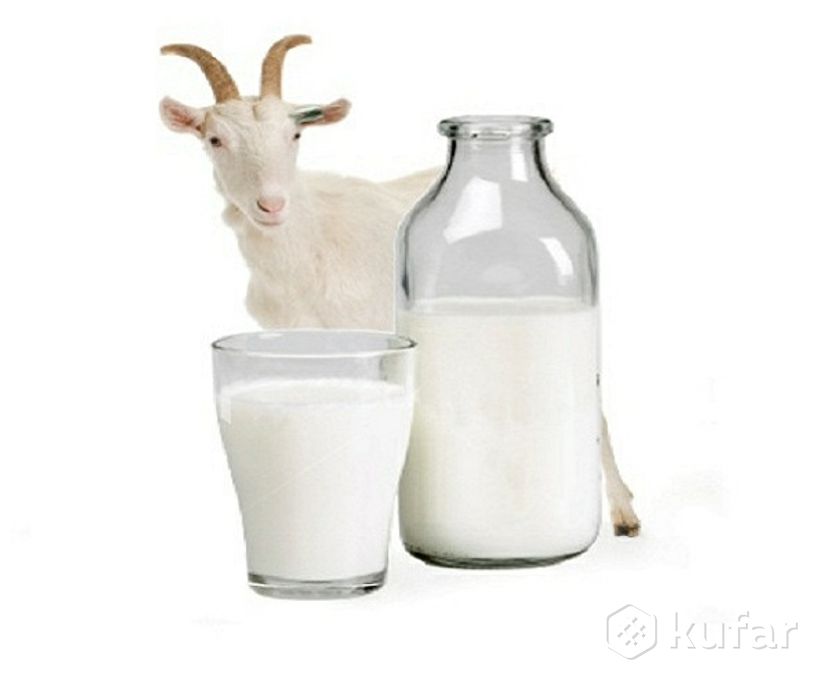 фото козье молочко без запаха, доставка по городу беспл 0