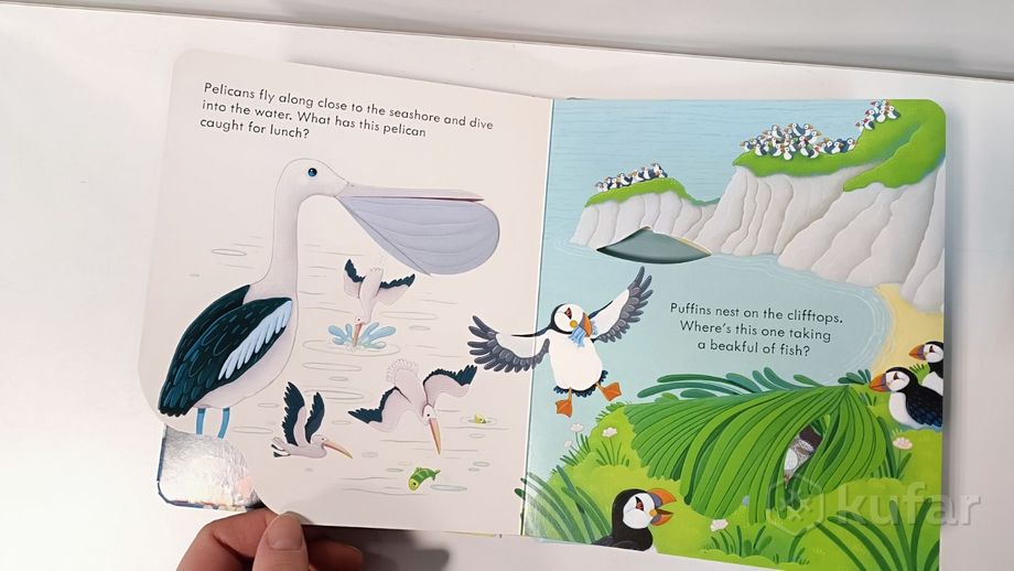 фото детские книги с окошками на английском языке  14
