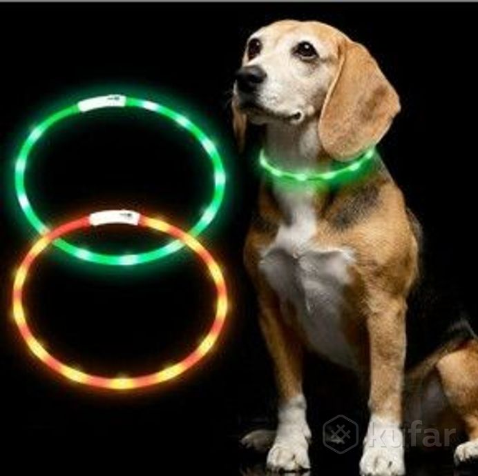 фото светящийся ошейник для собак (3 режима, зарядка usb)  зеленый (green), размер м 0