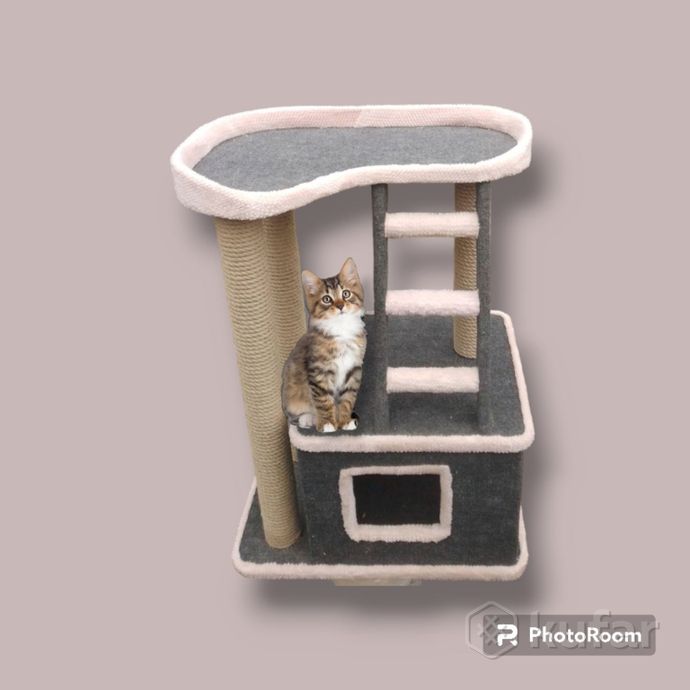фото дом когтеточка с лежанкой и  лесенкой для кошек и котов  4