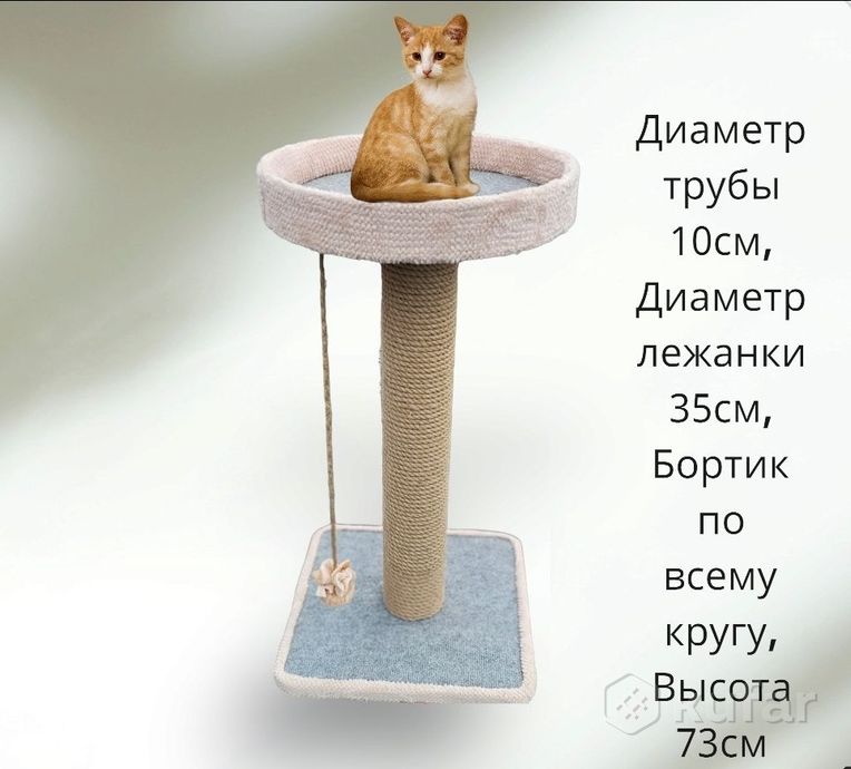 фото когтеточка с лежанкой для кошек и котов 5