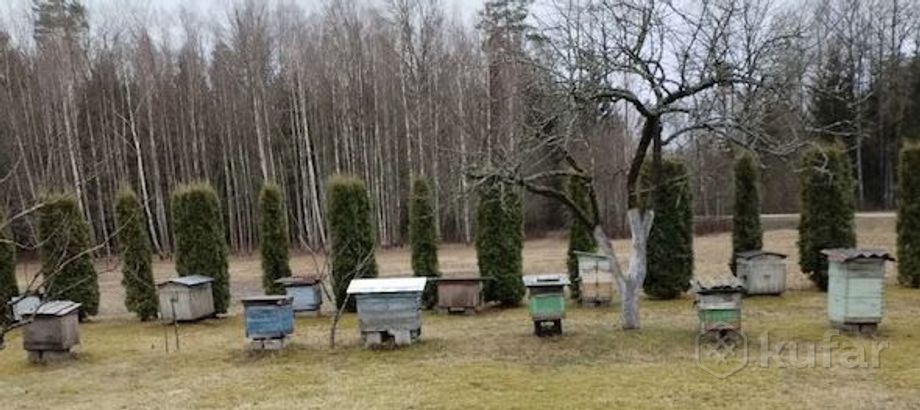фото ульи с пчелами,корпуса,рамки,магазины 1