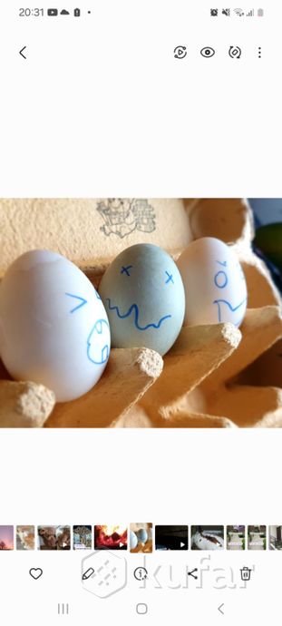 фото яйца домашние чижовка 0