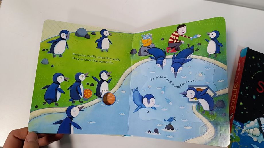 фото детские книги с окошками на английском языке  12