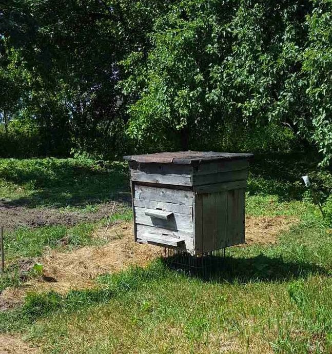 фото пчелиные домики, корпуса 0