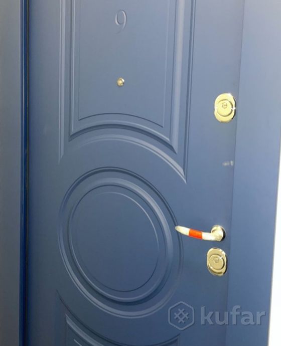 фото металлические входные двери в дом, квартиру рб 6