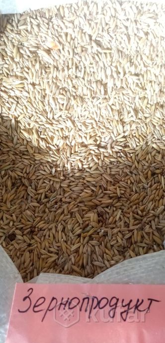 фото зернопродукт овес+ячмень+пшеница 0