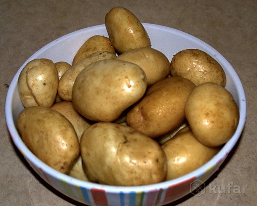 фото домашний картофель и другие овощи. доставка. минск 1