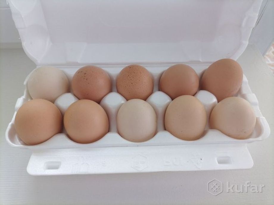 фото яйца куриные, домашние 0