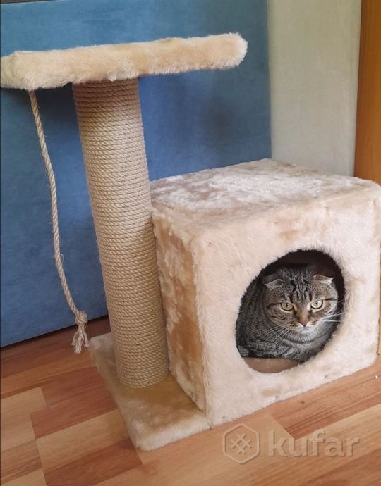 фото когтеточка дом для кошек  11