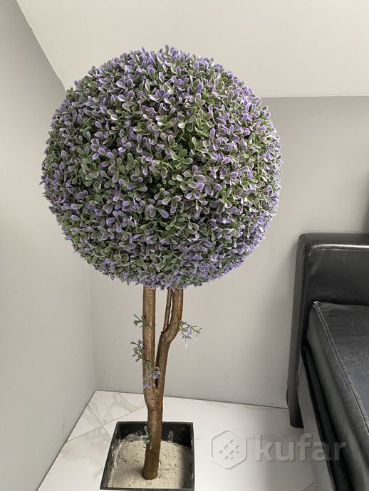 фото искусственное дерево цветок самшит 3