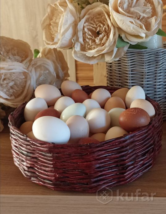 фото домашние куриные и перепелиные яйца  0