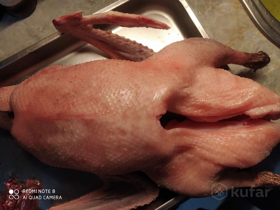 фото тушки (мясо) молодых гусей, уток, индоуток 0