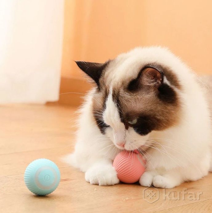 фото интерактивный мяч для кошек и собак. мячик дразнилка интерактивная. цвет розовый 3