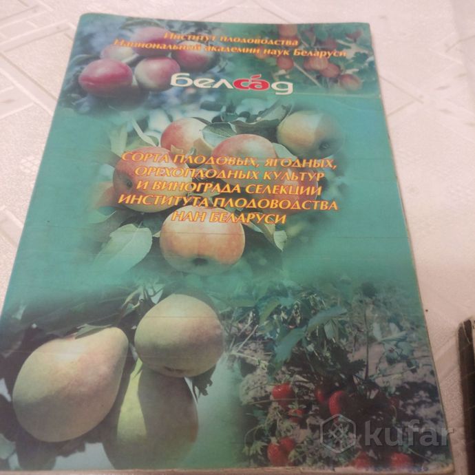 фото каталог плодово ягодных культур беларуси  0