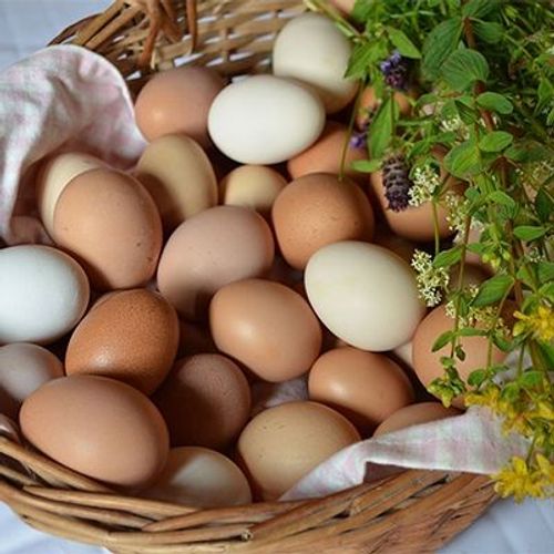 Яйцо куриное домашнее крупное