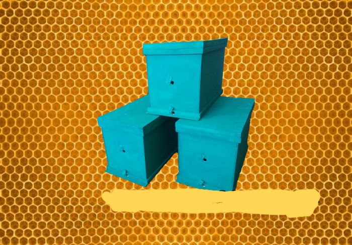 Ловушки для роёв пчёл, ящики для хранения суши