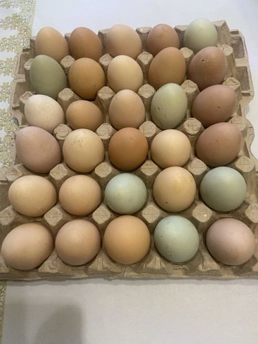 Яйца свежие домашние 