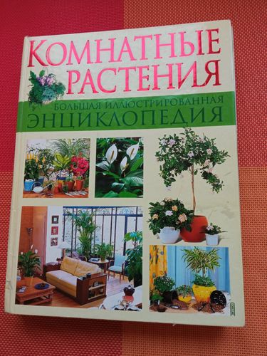 Большая энциклопедия комнатных растений 511 стр 