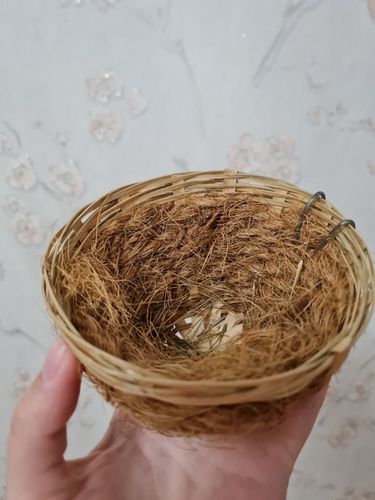 Гнездо для канареек ''Комфорт'' , кокос (7х12см)
