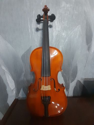 Скрипка 3/4 Strunal (Чехия)
