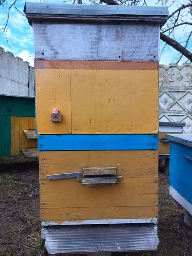 пасека 15 пчелосемей с инвентарем