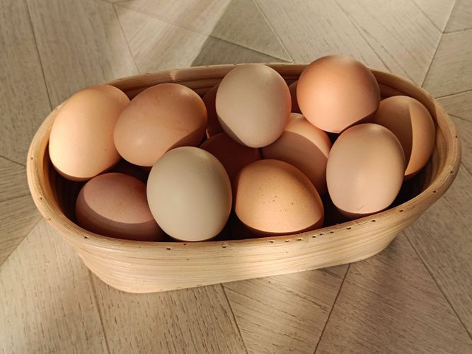 Яйцо, яйца домашнее деревенское вкусное