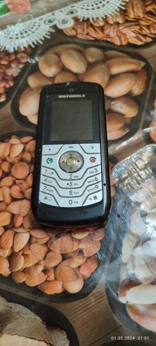 Motorola L6 